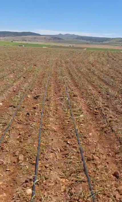 Opportunité d&rsquo;Investissement Agricole – Ifrane El Hajeb